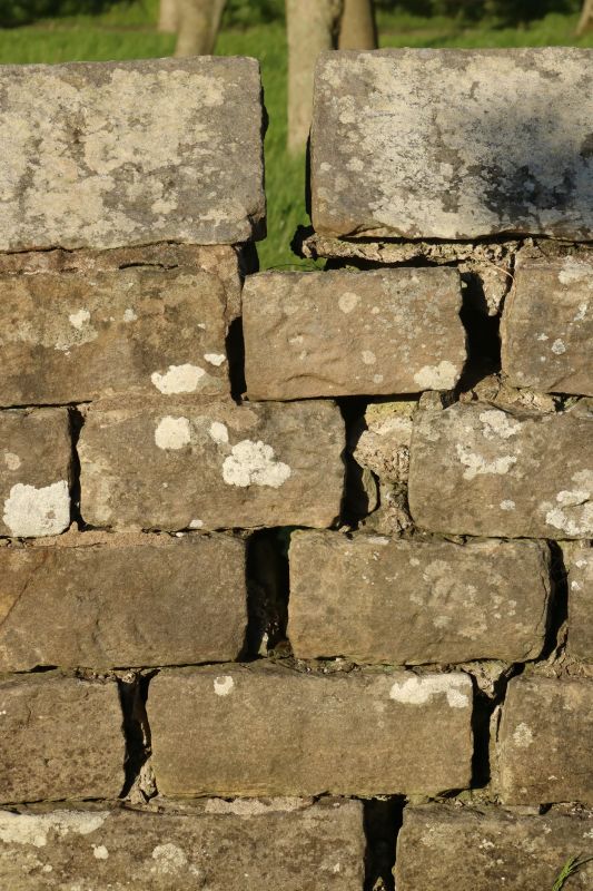Stone Wall Repair in Hackettstown, NJ